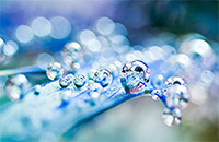 Colleen Slater droplets image