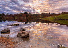 Peter Youngs - Tarn Hows Lake District