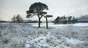 Julian Calverley snow image